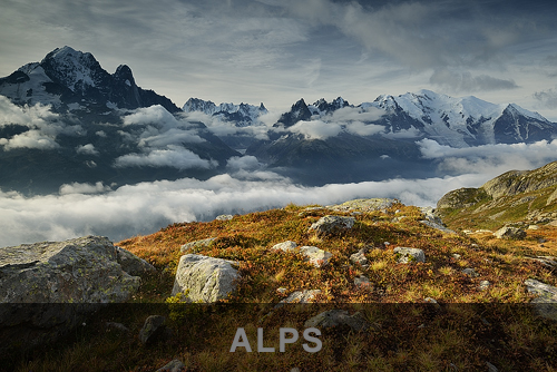 Alps-Banner